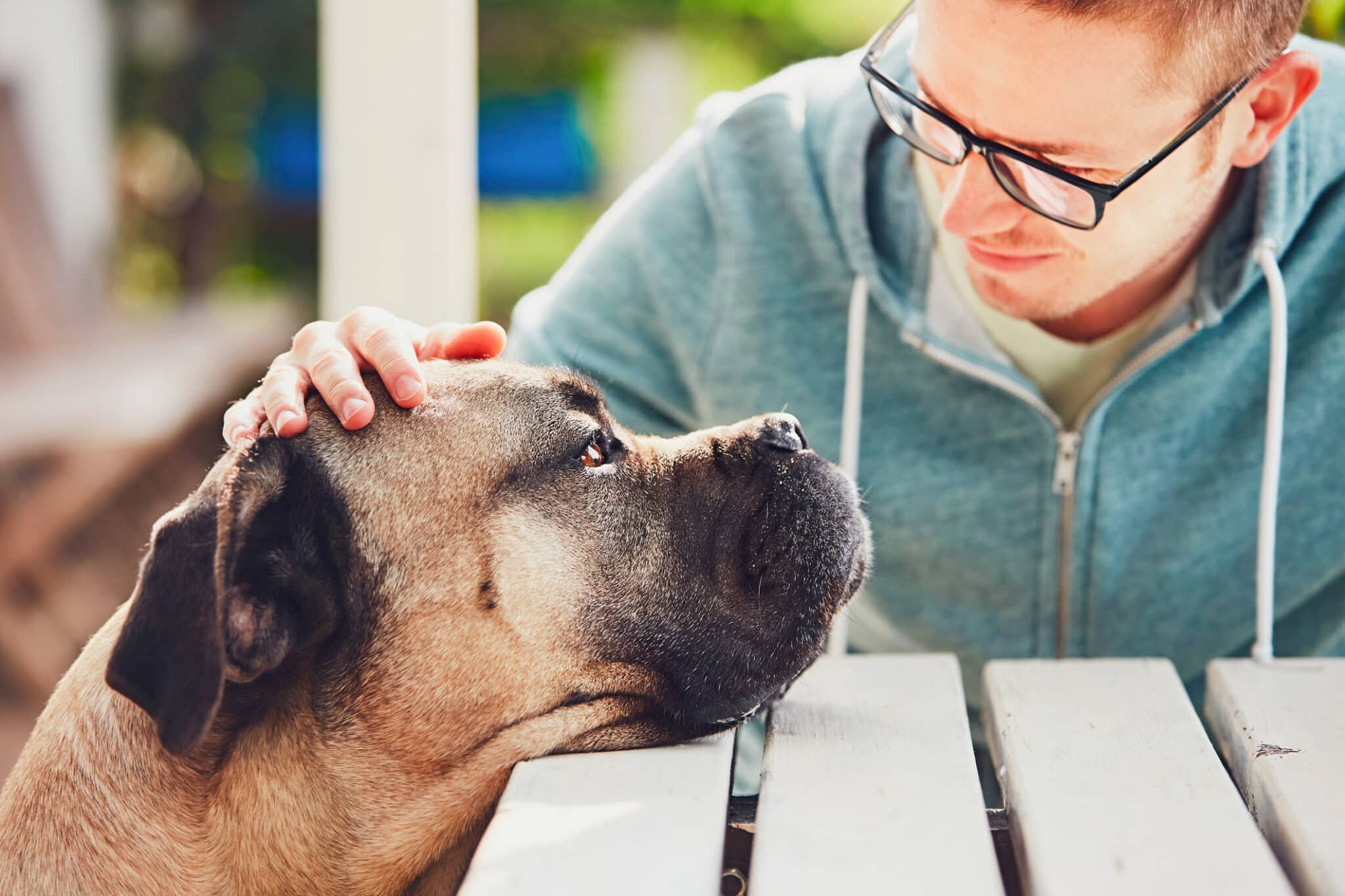 Pet Loss Counseling Certification – Guiding Hearts Through Healing